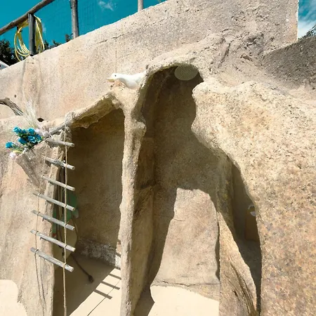 Emanuela Torre delle Stelle